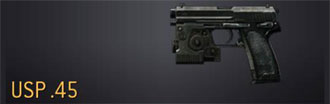 usp_45_sm.png