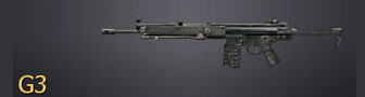 g3_sm.png