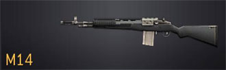 m14_sm.png
